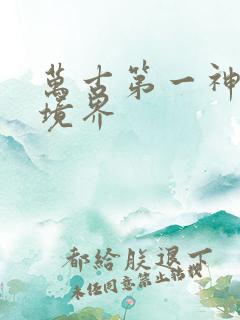 万古第一神所有境界