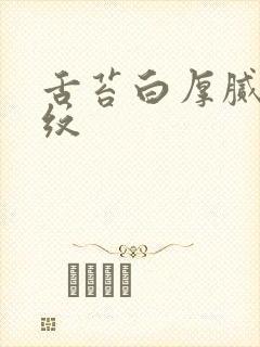 舌苔白厚腻有裂纹