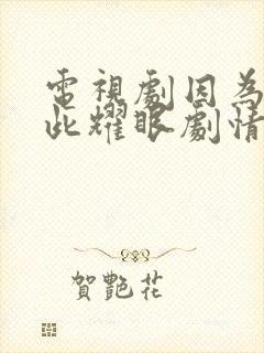 电视剧因为你如此耀眼剧情介绍