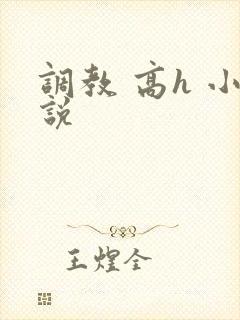 调教 高h 小说