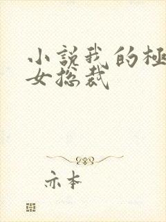 小说我的极品美女总裁