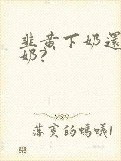 韭黄下奶还是回奶?