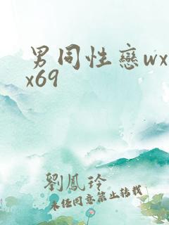 男同性恋wxxx69