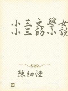 小三文学女主是小三的小说