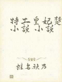 特工皇妃楚乔传小说 小说