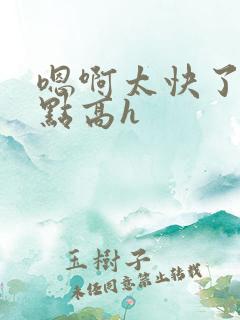 嗯啊太快了慢一点高h