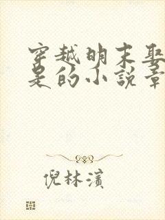 穿越明末娶柳如是的小说章节