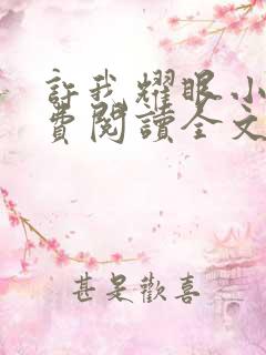 许我耀眼小说免费阅读全文最新章节