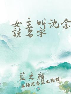 女主叫沈念的小说名字