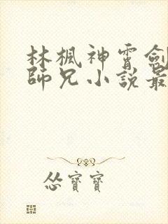 林枫神霄剑宗大师兄小说最新章节