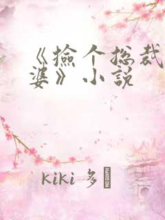 《捡个总裁做老婆》小说