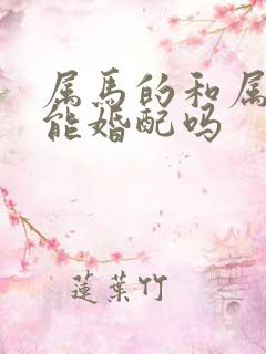 属马的和属狗的能婚配吗