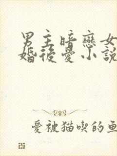 男主暗恋女主先婚后爱小说