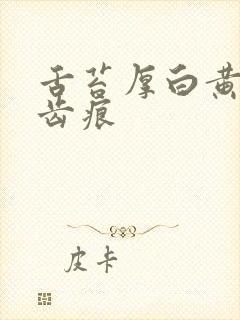 舌苔厚白黄腻有齿痕