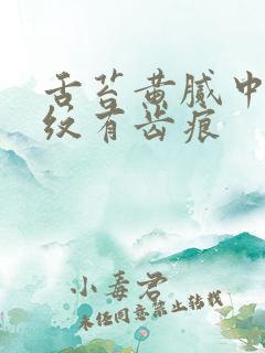 舌苔黄腻中间裂纹有齿痕