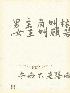 男主角叫林凡的,女主叫顾若曦的小说