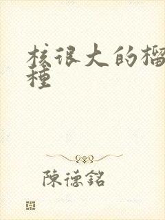 核很大的榴莲品种