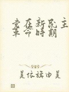 党在新民主主义革命时期