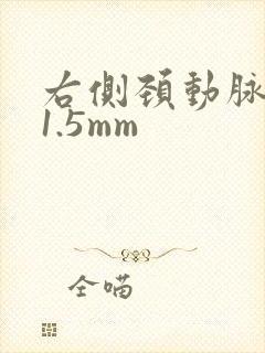右侧颈动脉斑块1.5mm