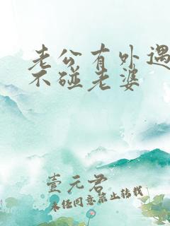 老公有外遇回家不碰老婆