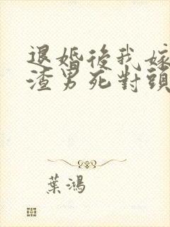 退婚后我嫁给了渣男死对头