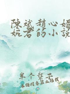 陈斌赵心媚和高婉君的小说免费阅读