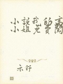 小说我的高冷大小姐免费阅读