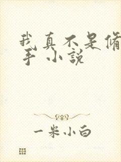 我真不是修仙高手 小说