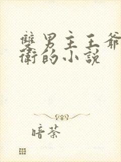 双男主王爷和暗卫的小说