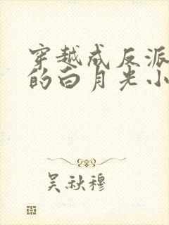 穿越成反派早死的白月光小说