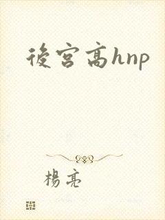 后宫高hnp