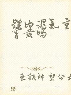 体内湿气重小便会黄吗