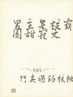 男主是校霸的校园甜宠文