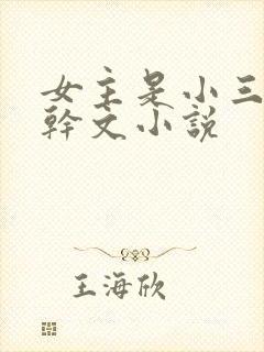 女主是小三的高干文小说