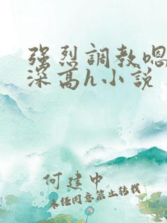 强烈调教嗯啊好深高h小说