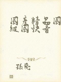 国产精品国产三级国快看