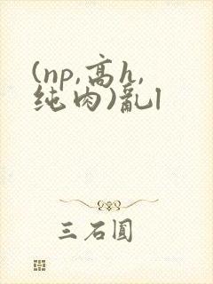 (np,高h,纯肉)乱l