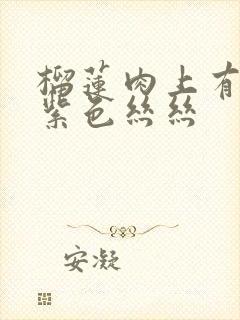 榴莲肉上有一点紫色丝丝