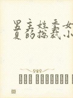 男主姓季女主姓夏的总裁小说