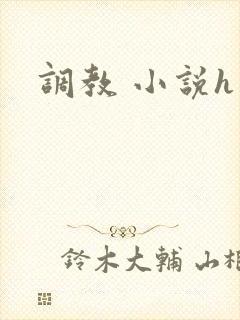 调教 小说h