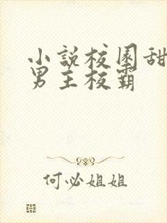 小说校园甜宠文男主校霸