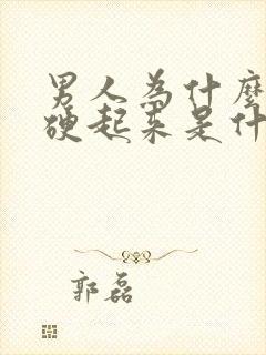 男人为什么总是硬起来是什么原因呢