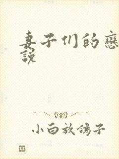 妻子们的恋爱小说
