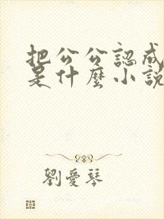 把公公认成老公是什么小说