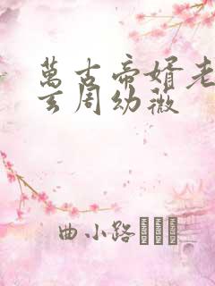 万古帝婿老鬼夜玄周幼薇