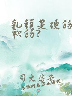 乳头是硬的还是软的?