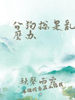 公狗总是乱尿怎么办