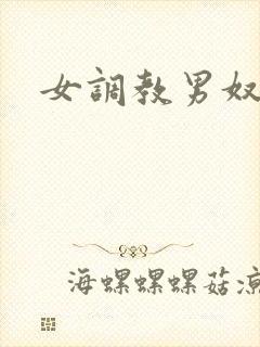女调教男奴小说