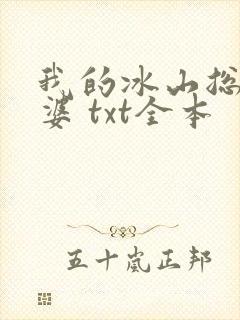我的冰山总裁老婆 txt全本