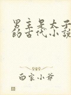 男主是太子姓裴的古代小说